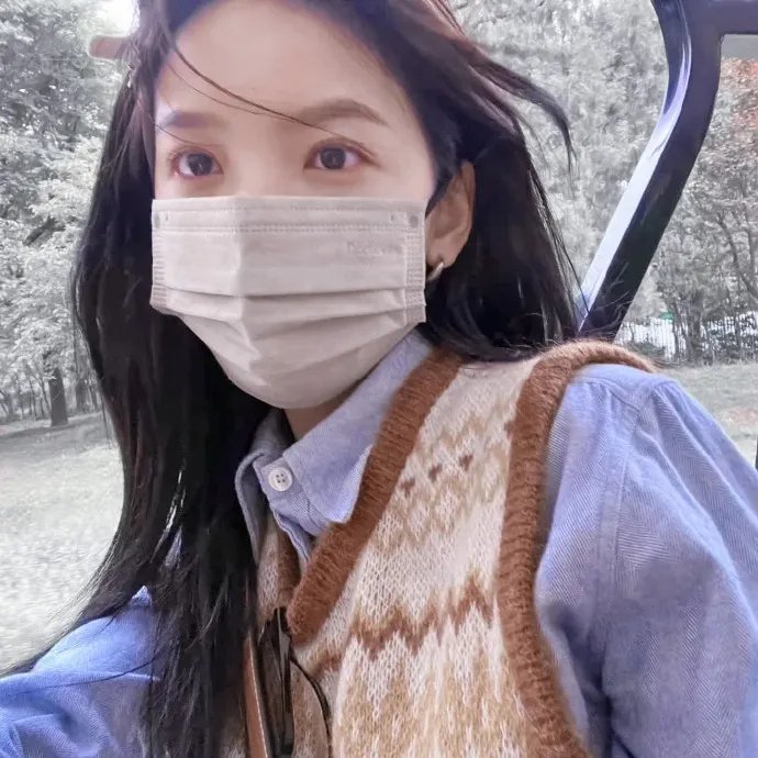 南风知我意