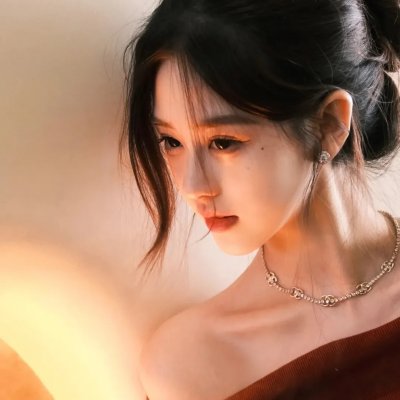 没人瞭波斯猫